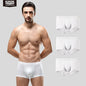 52025 DailyPalette Men's Cotton-Modal Stretch Boxers