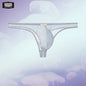 52025 PassionFlex Men's Low-Rise Nylon-Stretch Briefs & Thongs