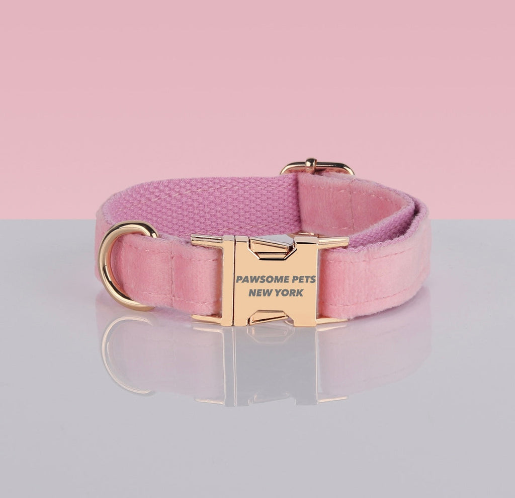 PAWSOME DOG COLLAR - #3-0