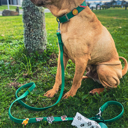Dog Collar | Green Walkieez