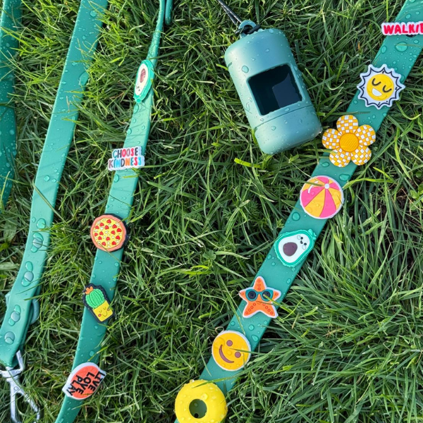 Dog Collar | Green Walkieez