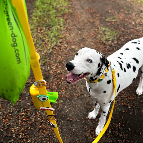 Dog Poop Bag Holder | Yellow Walkieez