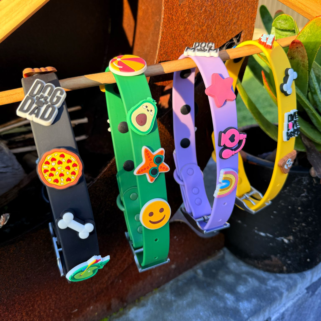 Dog Collar | Black Walkieez
