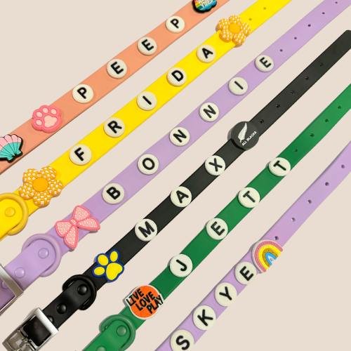 Dog Collar | Black Walkieez