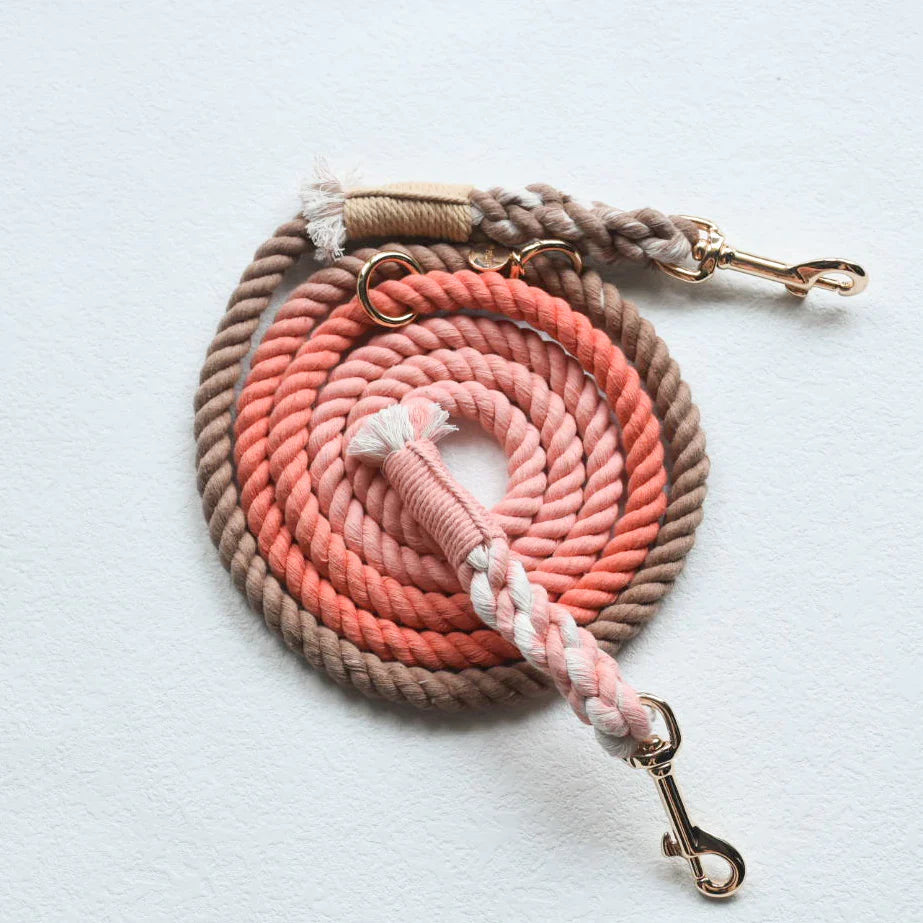 HANDS FREE DOG ROPE LEASH - PEACH AND BROWN-0