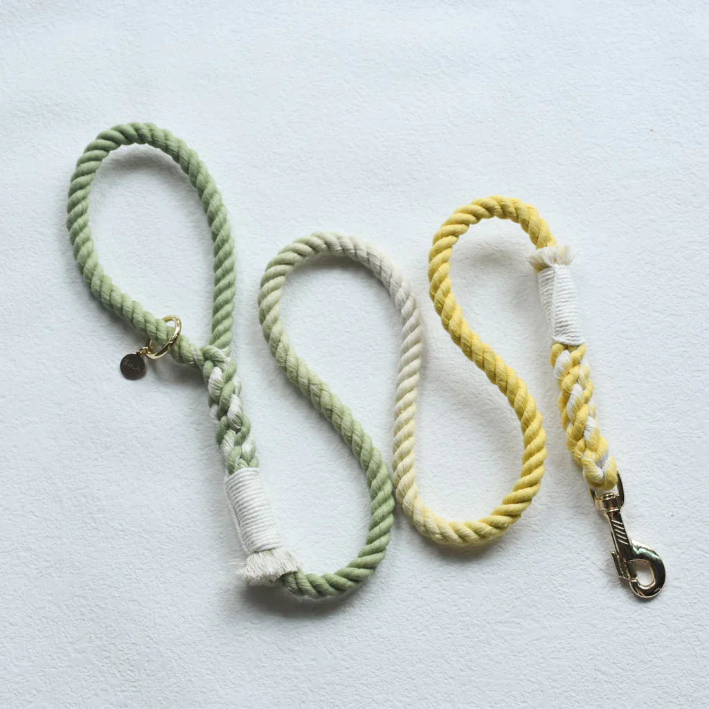 HANDS FREE DOG ROPE LEASH - LIME LEMONADE-2