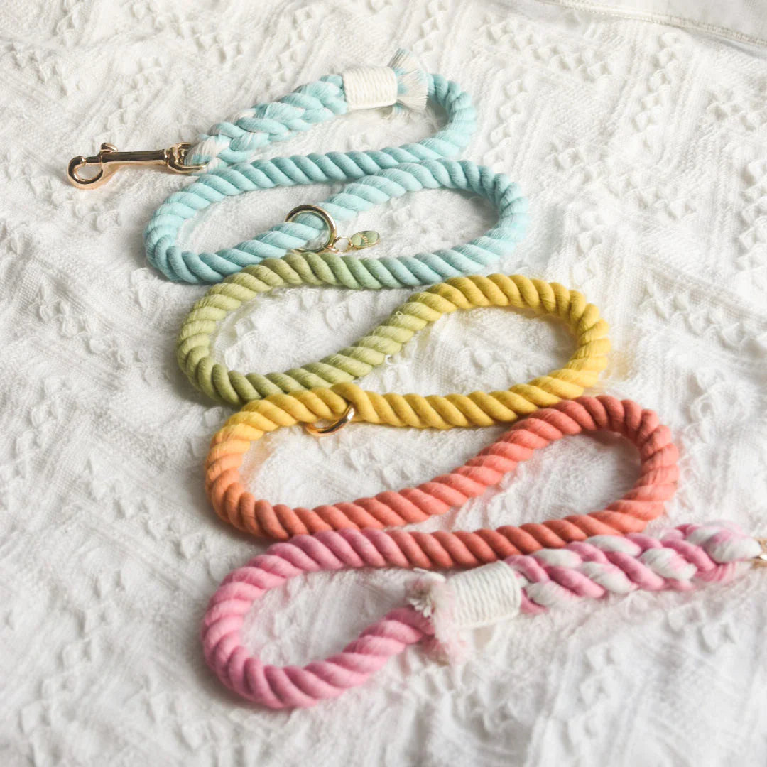 ROPE LEASH - SWEET LOLLIE-1