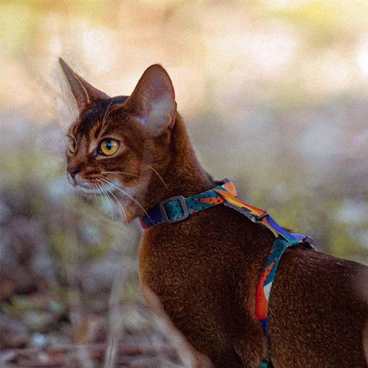PIDAN Cat Leash & Harness Pidan New Zealand
