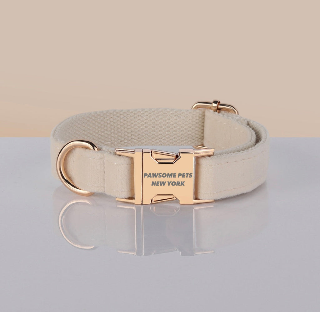 PAWSOME DOG COLLAR - #24-0