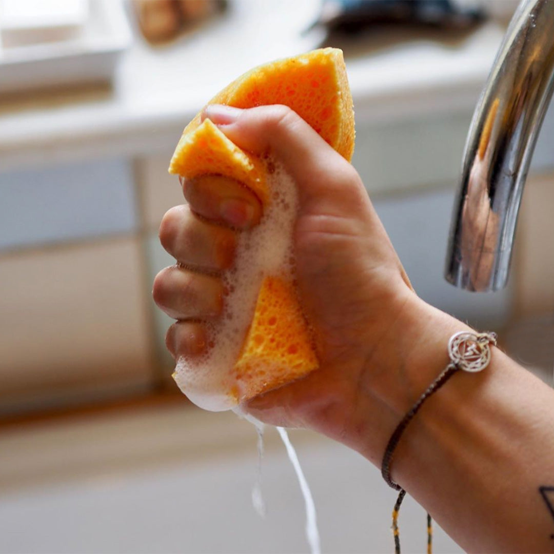 Compostable Cellulose Sponges - Pack of 2-4