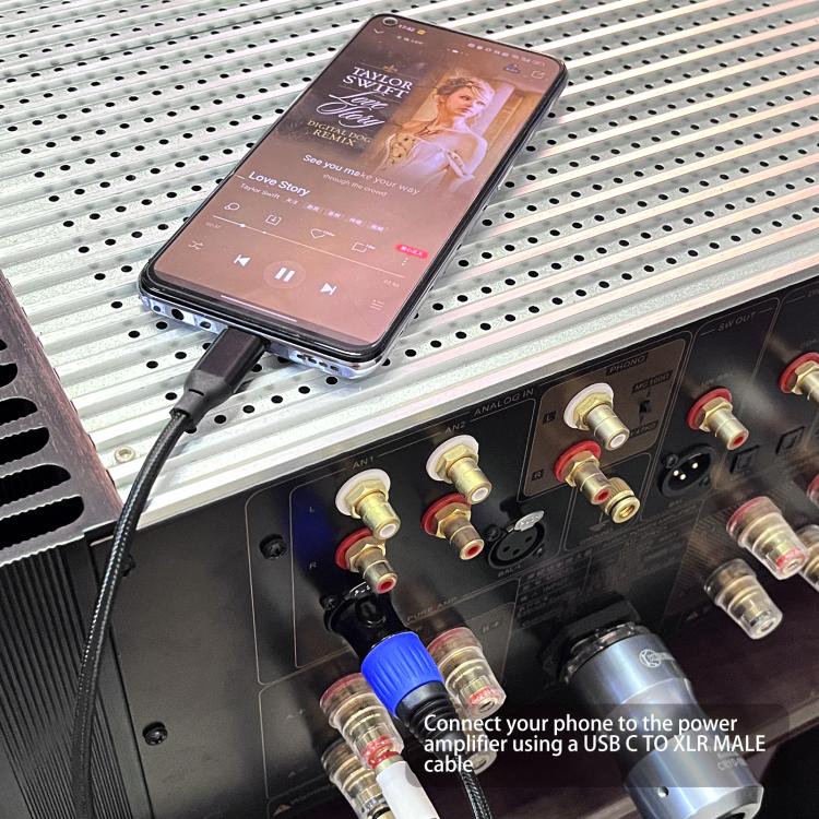 TY015 Type-C Male to XLR Male Stereo Output Audio Cable