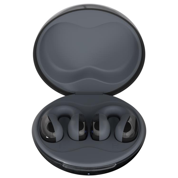 F13 Ear-Hook Noise Reduction 13mm Moving Coil HIFI BT 5.4 Wireless Earphones