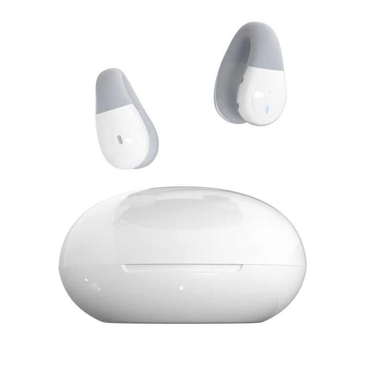 F13 Ear-Hook Noise Reduction 13mm Moving Coil HIFI BT 5.4 Wireless Earphones