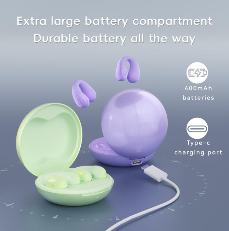 F13 Ear-Hook Noise Reduction 13mm Moving Coil HIFI BT 5.4 Wireless Earphones