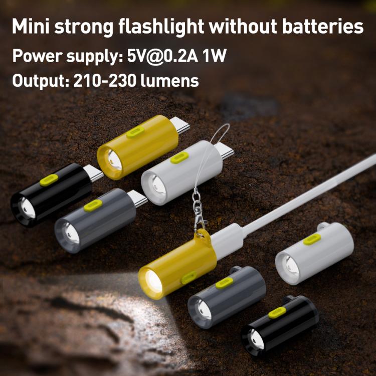 Type-C Port Portable Outdoor Ultra-Low Power 210-230LM Flashlight