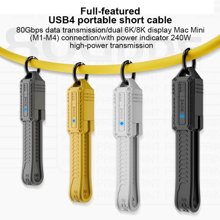 Portable Keychain 80Gbps 240W USB4 Type-C / USB-C Charging Cable