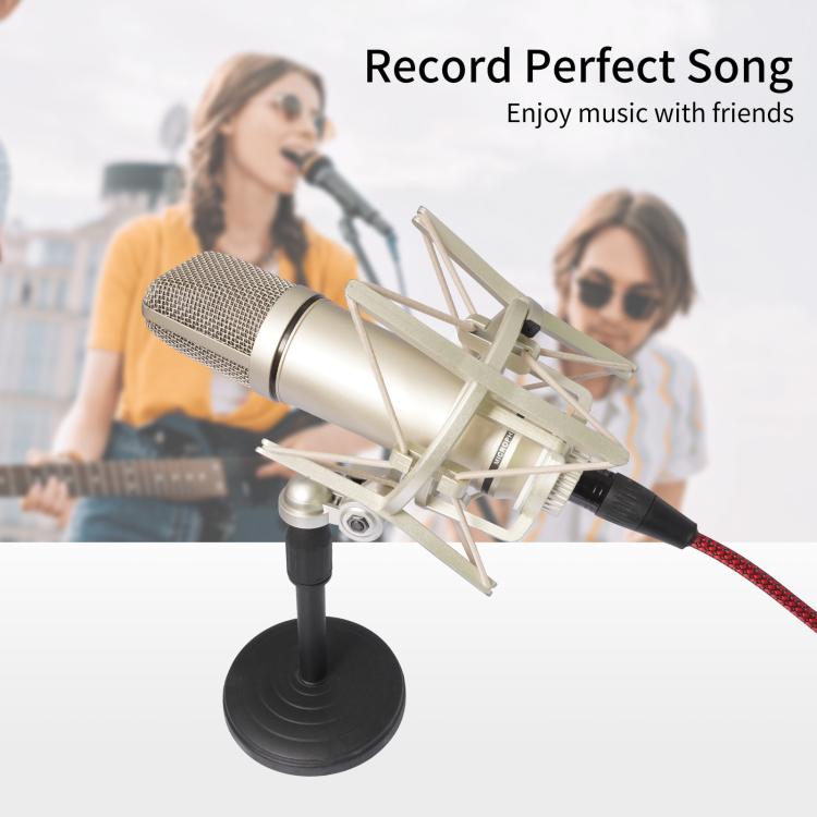 USB-A to XLR Female Audio Recording Cable for Dynamic Microphone