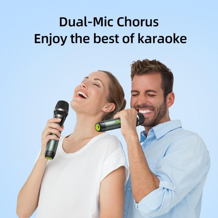 Zealot S76 50W Portable Outdoor RGB Bluetooth Speaker