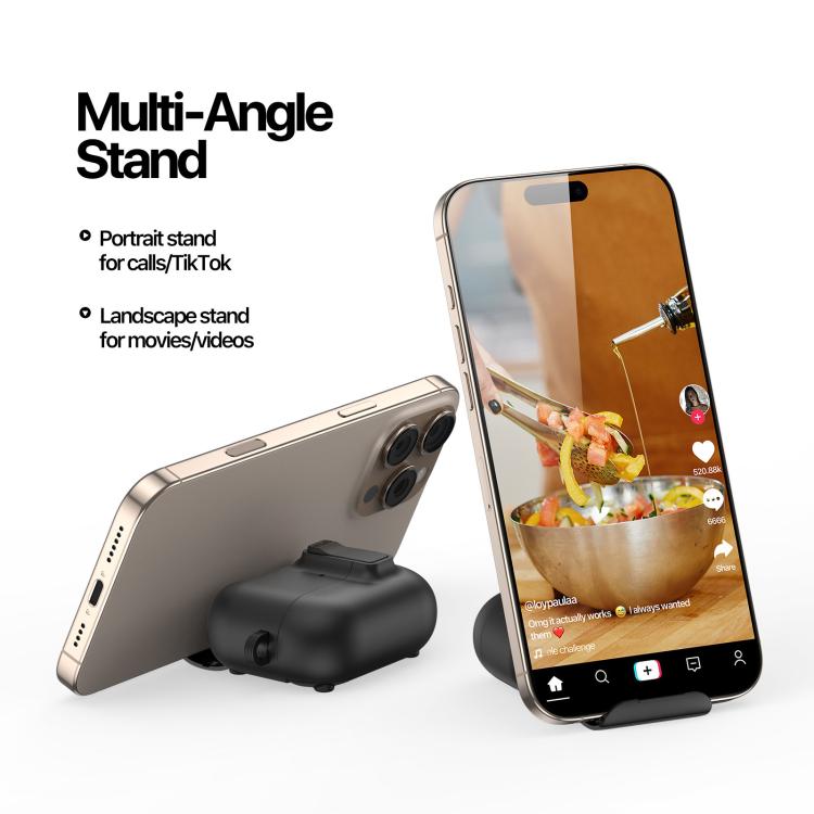 DUX DUCIS PECQ Series Magnetic Earphone Case with Holder & Security Lock