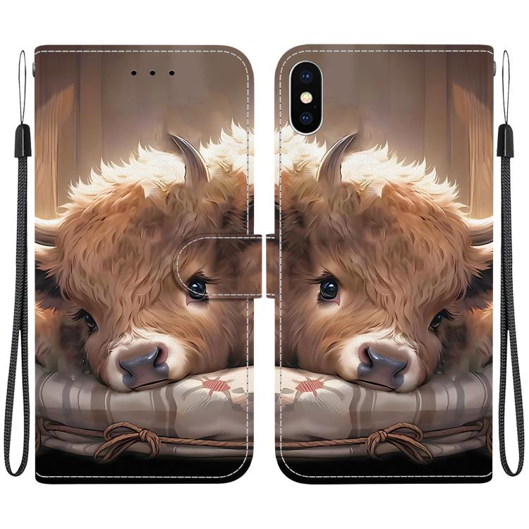 Crystal Texture Colored Drawing Leather Phone Case