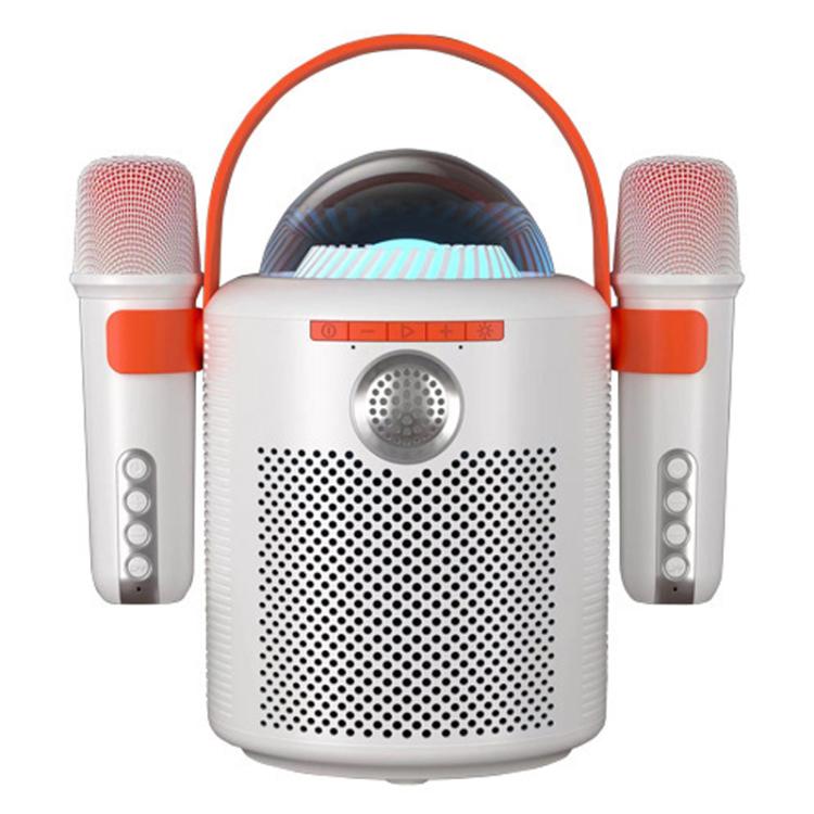 Lebo Y11 Outdoor Portable Wireless Karaoke Dual Microphone Bluetooth Speaker