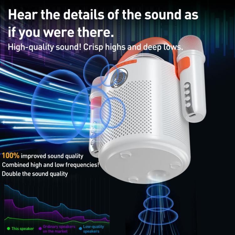 Lebo Y11 Outdoor Portable Wireless Karaoke Dual Microphone Bluetooth Speaker