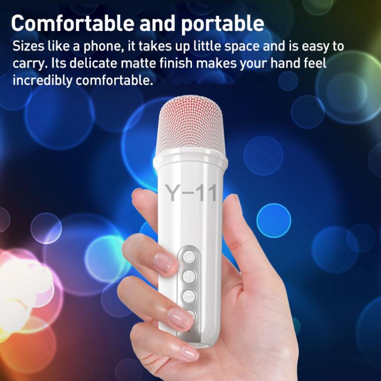 Lebo Y11 Outdoor Portable Wireless Karaoke Dual Microphone Bluetooth Speaker