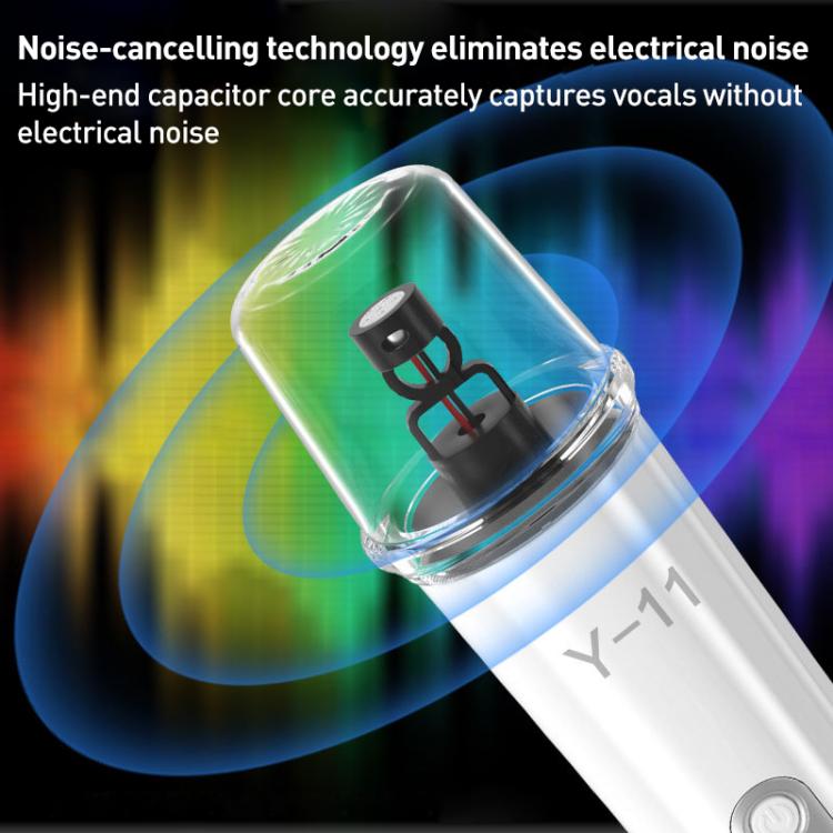 Lebo Y11 Outdoor Portable Wireless Karaoke Dual Microphone Bluetooth Speaker