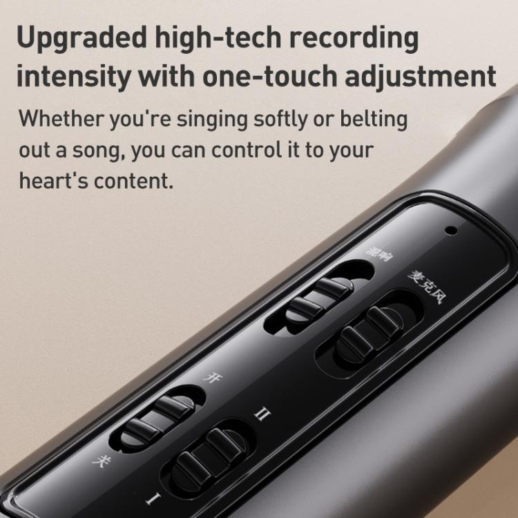 Lebo P1 Karaoke Microphone Audio Home Bluetooth Wireless Microphone