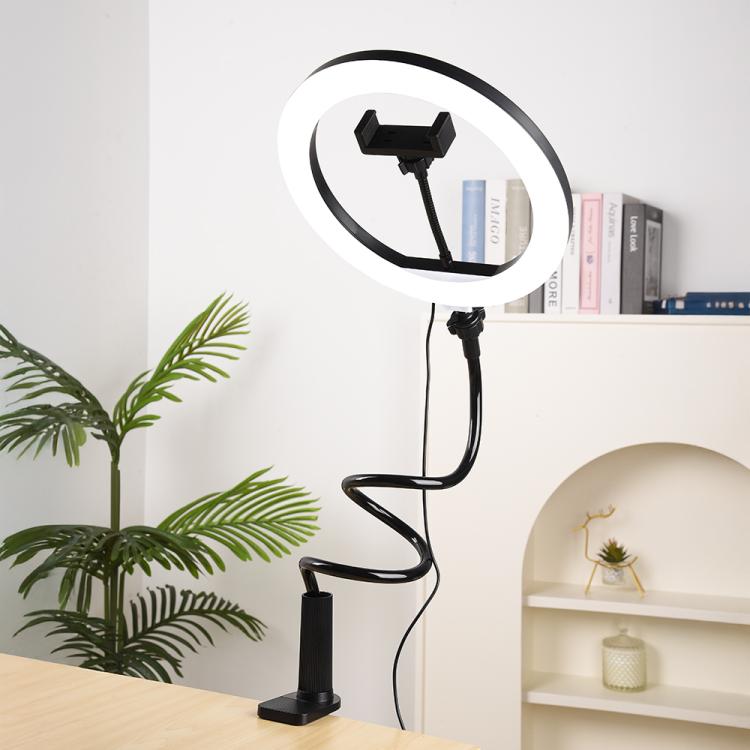 10 inch Striped Selfie Live Streaming Photography Lazy Stand LED Ring Fill Light Set