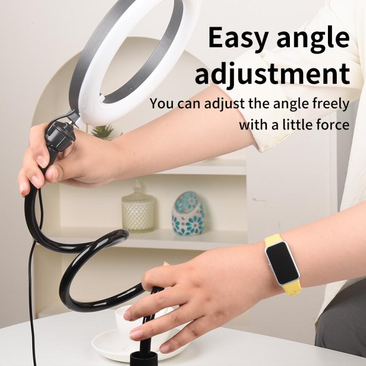10 inch Striped Selfie Live Streaming Photography Lazy Stand LED Ring Fill Light Set