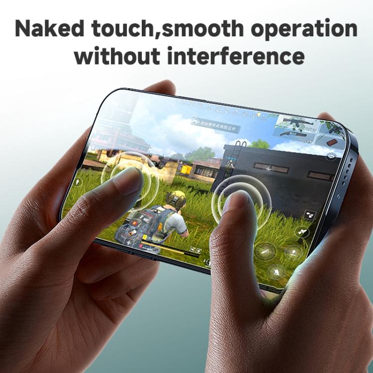 REMAX Future Series WL-02 AG Frosted Tempered Glass Film