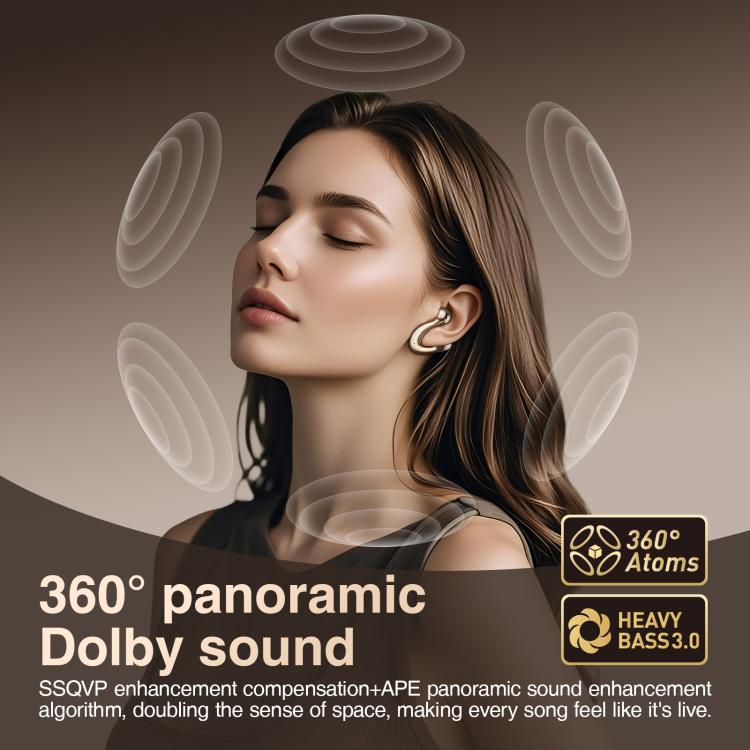 Hileo HI83 Clip-on Noise Reduction Sports Wireless Bluetooth Earphone