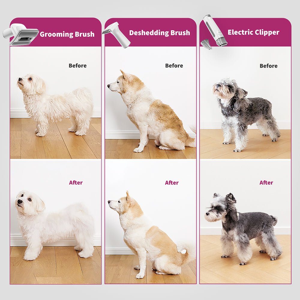 PETKIT 5-in-1 Pet Grooming Kit (AirClipper) Petkit New Zealand Official