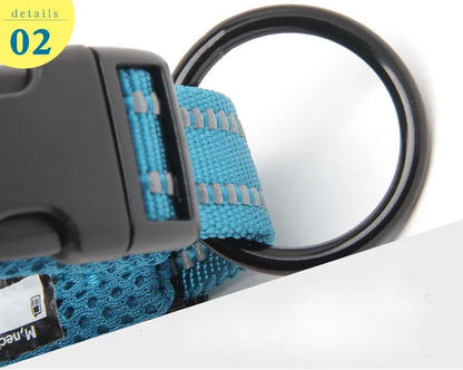 Truelove Nylon Adjustable Dog Collar