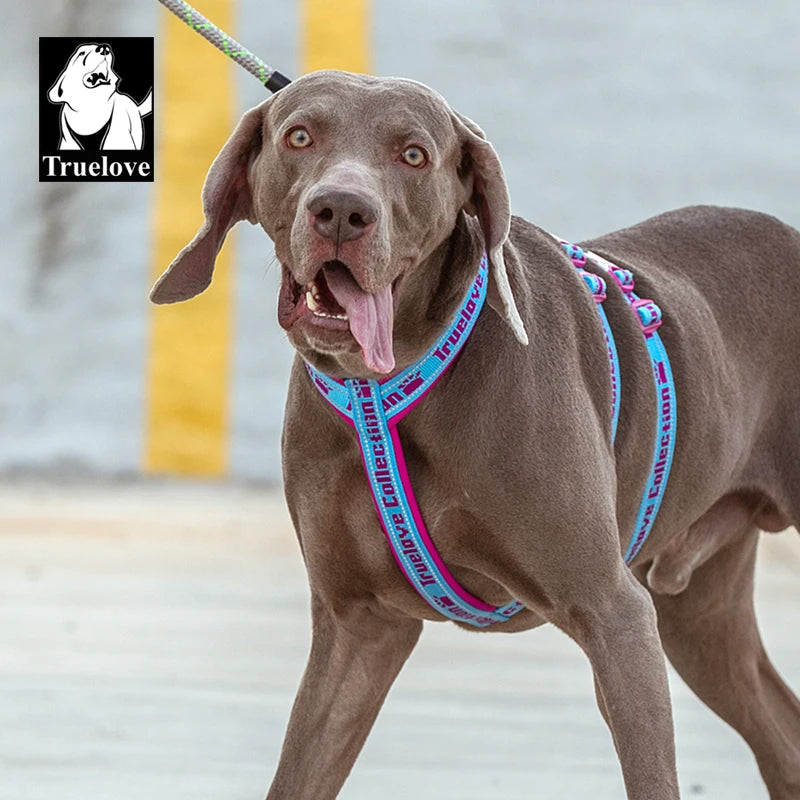 Truelove Double H Harness Neoprene Padding Durable Strong Reflective Gow in the Dark Aluminum Alloy Fitting Light Weight TLH6571