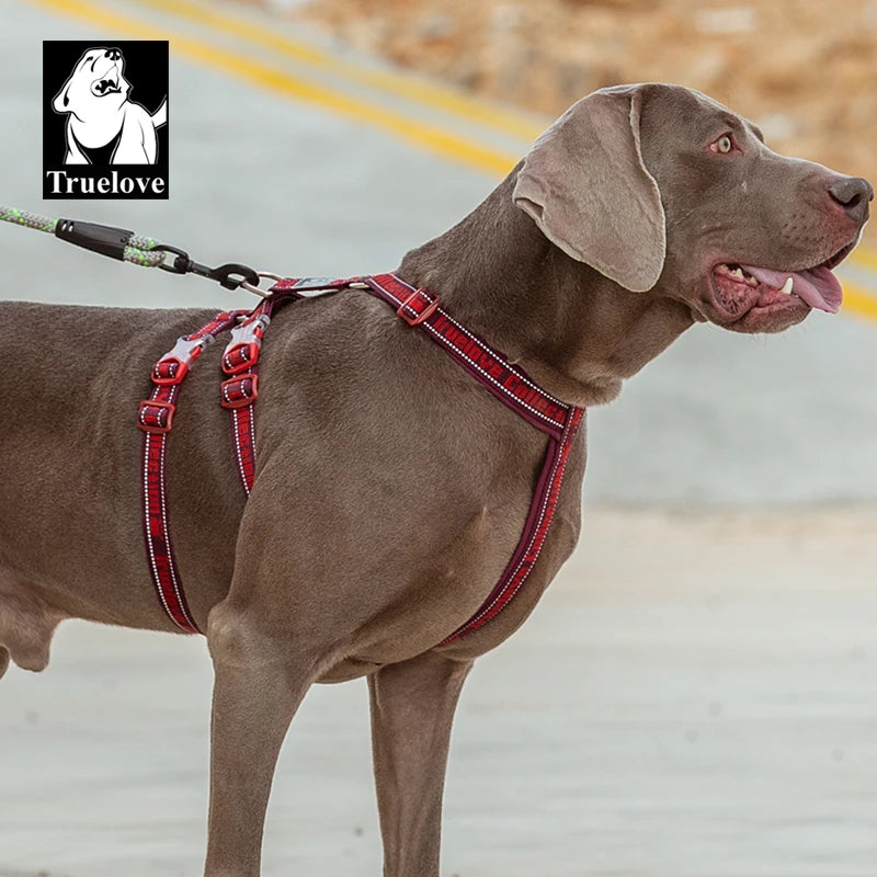Truelove Double H Harness Neoprene Padding Durable Strong Reflective Gow in the Dark Aluminum Alloy Fitting Light Weight TLH6571