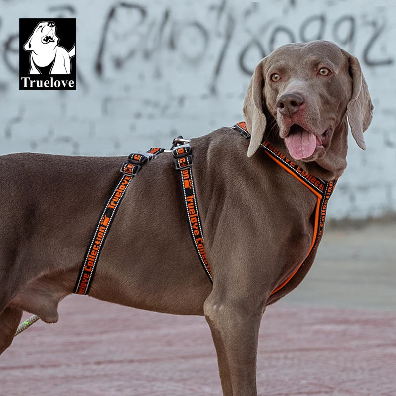 Truelove Double H Harness Neoprene Padding Durable Strong Reflective Gow in the Dark Aluminum Alloy Fitting Light Weight TLH6571