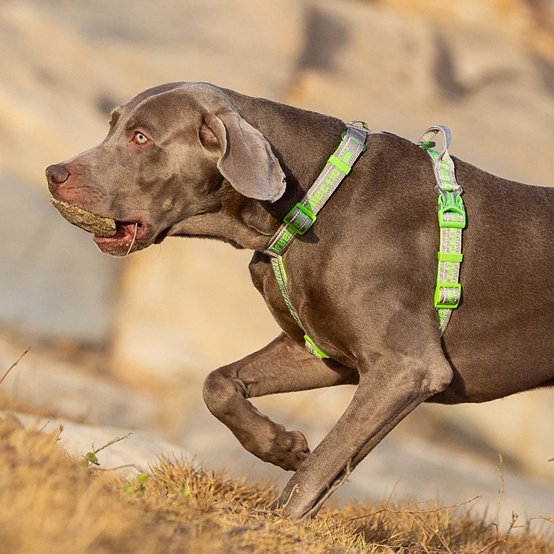 Truelove Dog Harness Tactical no-pull harness