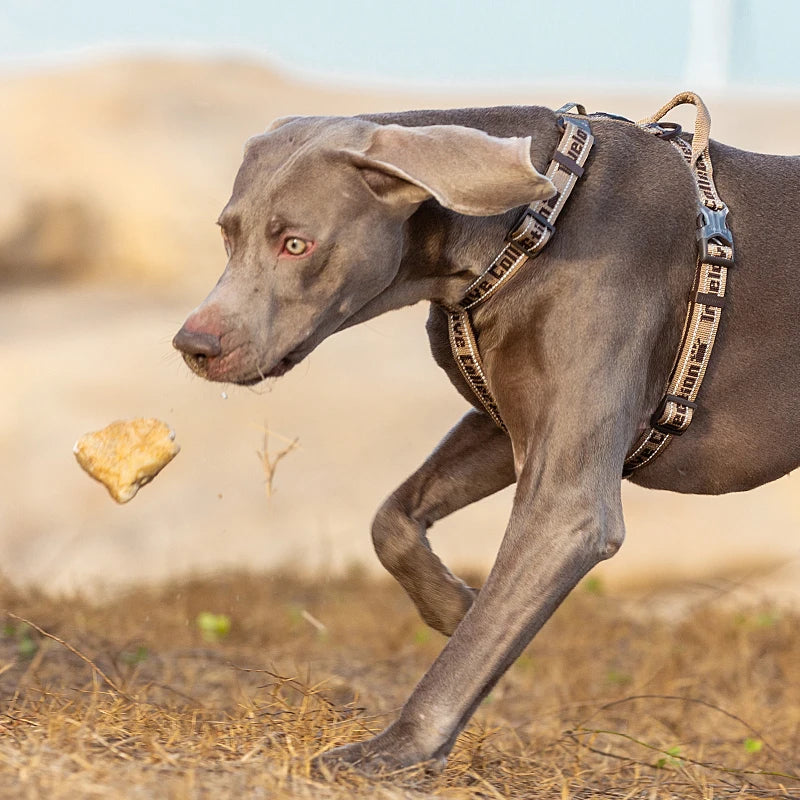 Truelove Dog Harness Tactical no-pull harness