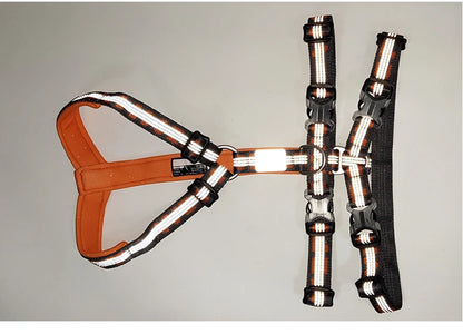 TRUELOVE Pet Best Double H Trail Runner No-Pull Dog Harness 3M Reflective with Premium Material Small Medium Large Dogs YH1804
