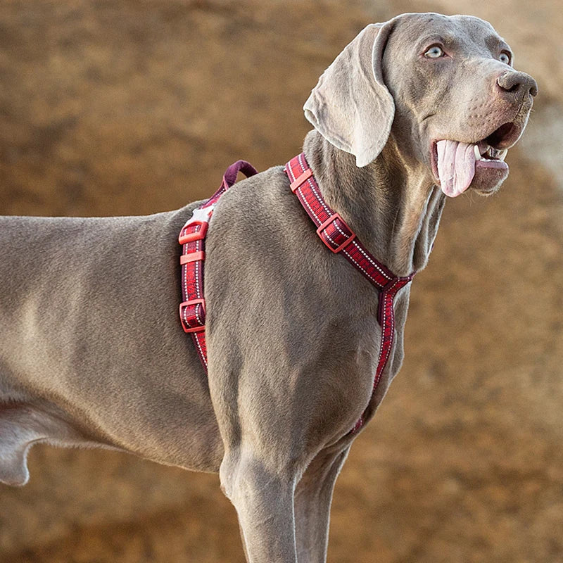 Truelove Dog Harness Tactical no-pull harness