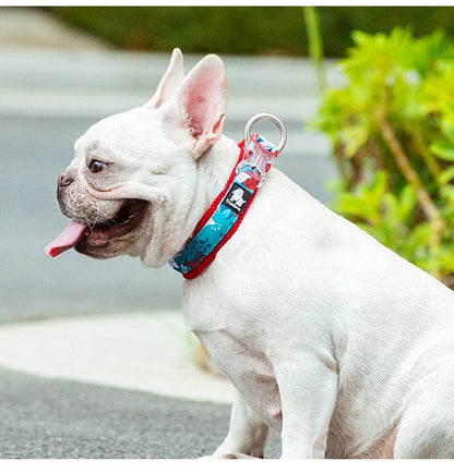 Truelove Floral Pet Collar
