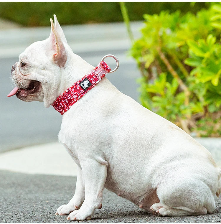 Truelove Floral Pet Collar