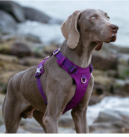 Truelove Dog Light Weight Harness Adjustable