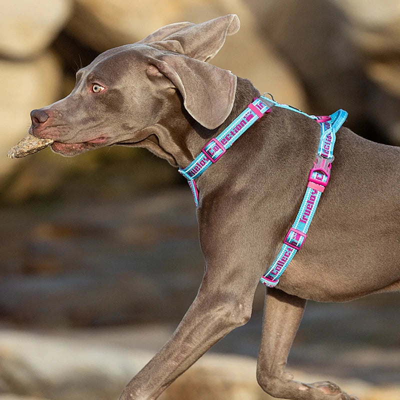 Truelove Dog Harness Tactical no-pull harness