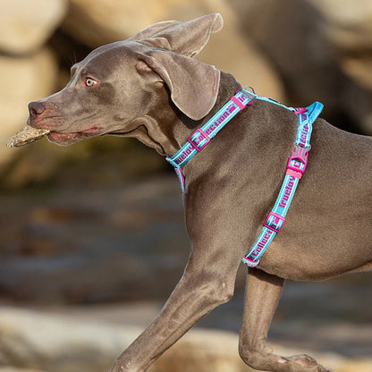 Truelove Dog Harness Tactical no-pull harness