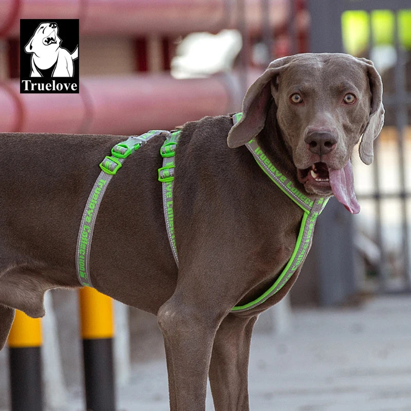 Truelove Double H Harness Neoprene Padding Durable Strong Reflective Gow in the Dark Aluminum Alloy Fitting Light Weight TLH6571