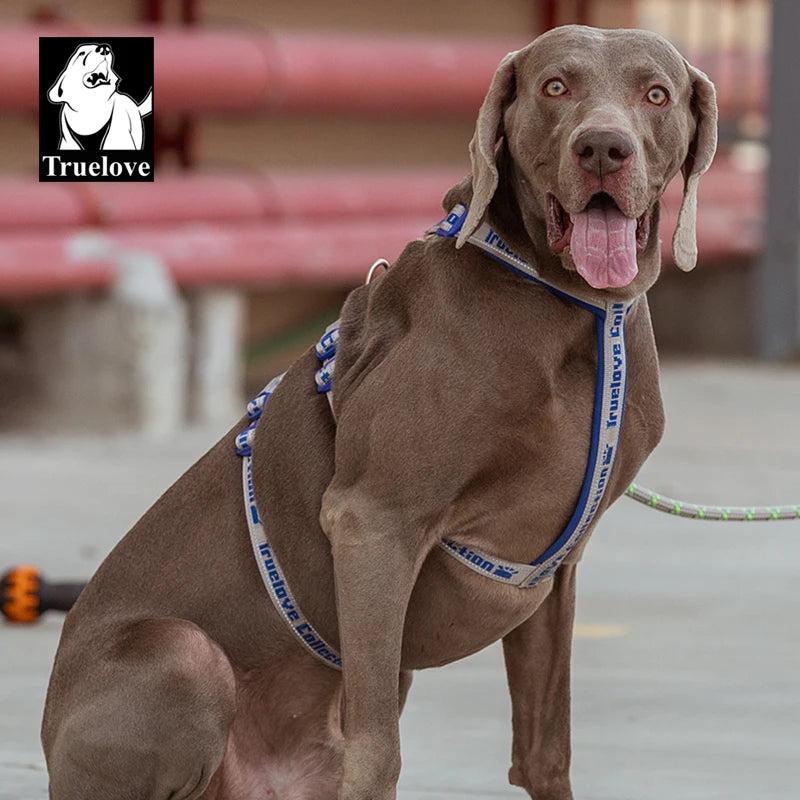 Truelove Double H Harness Neoprene Padding Durable Strong Reflective Gow in the Dark Aluminum Alloy Fitting Light Weight TLH6571