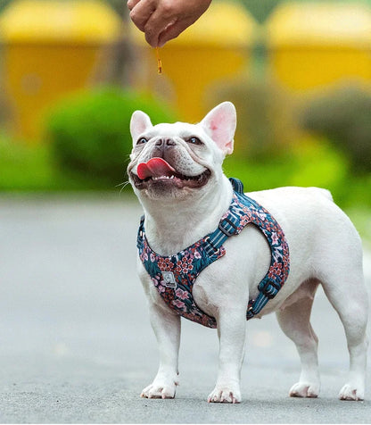 Truelove Pet Harness Floral Doggy Harness Dog Vest Type Dog Walking Chain Small Medium Puppy Cat Printed Cotton TLH1912